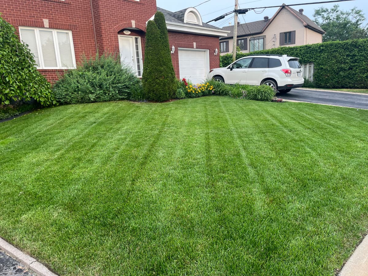 ENTRETIEN PAYSAGER 14