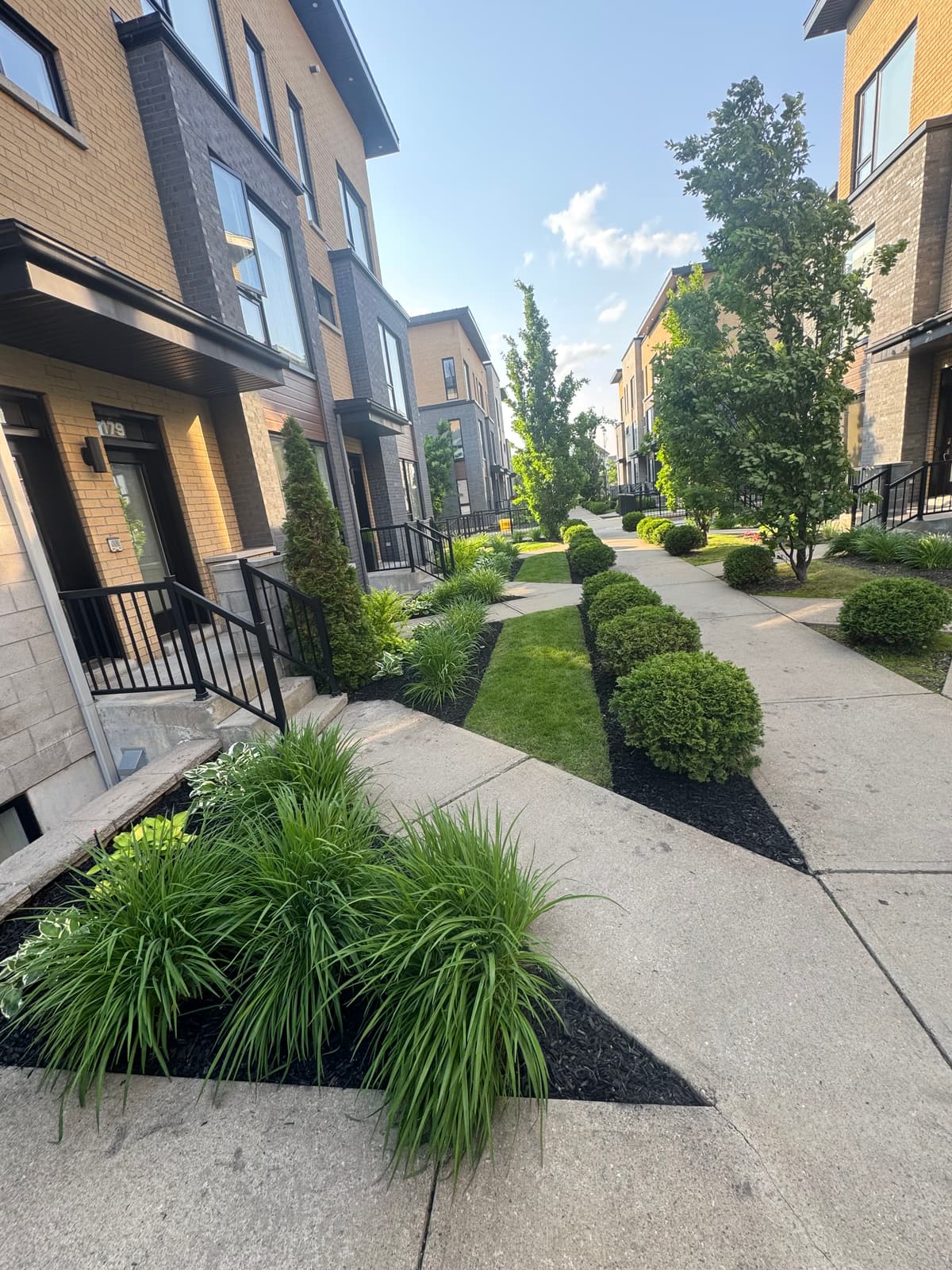 ENTRETIEN PAYSAGER 16