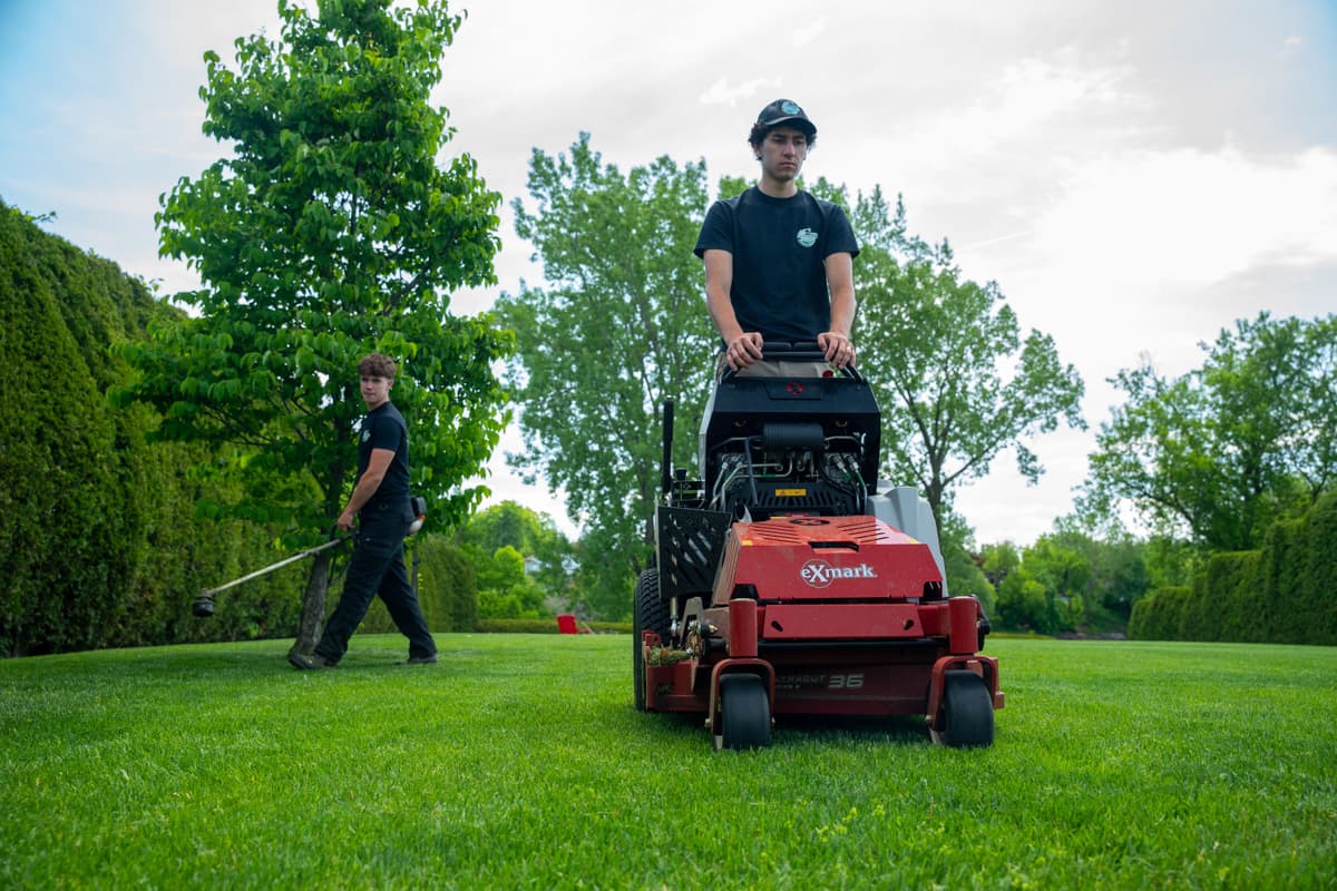 ENTRETIEN PAYSAGER 4