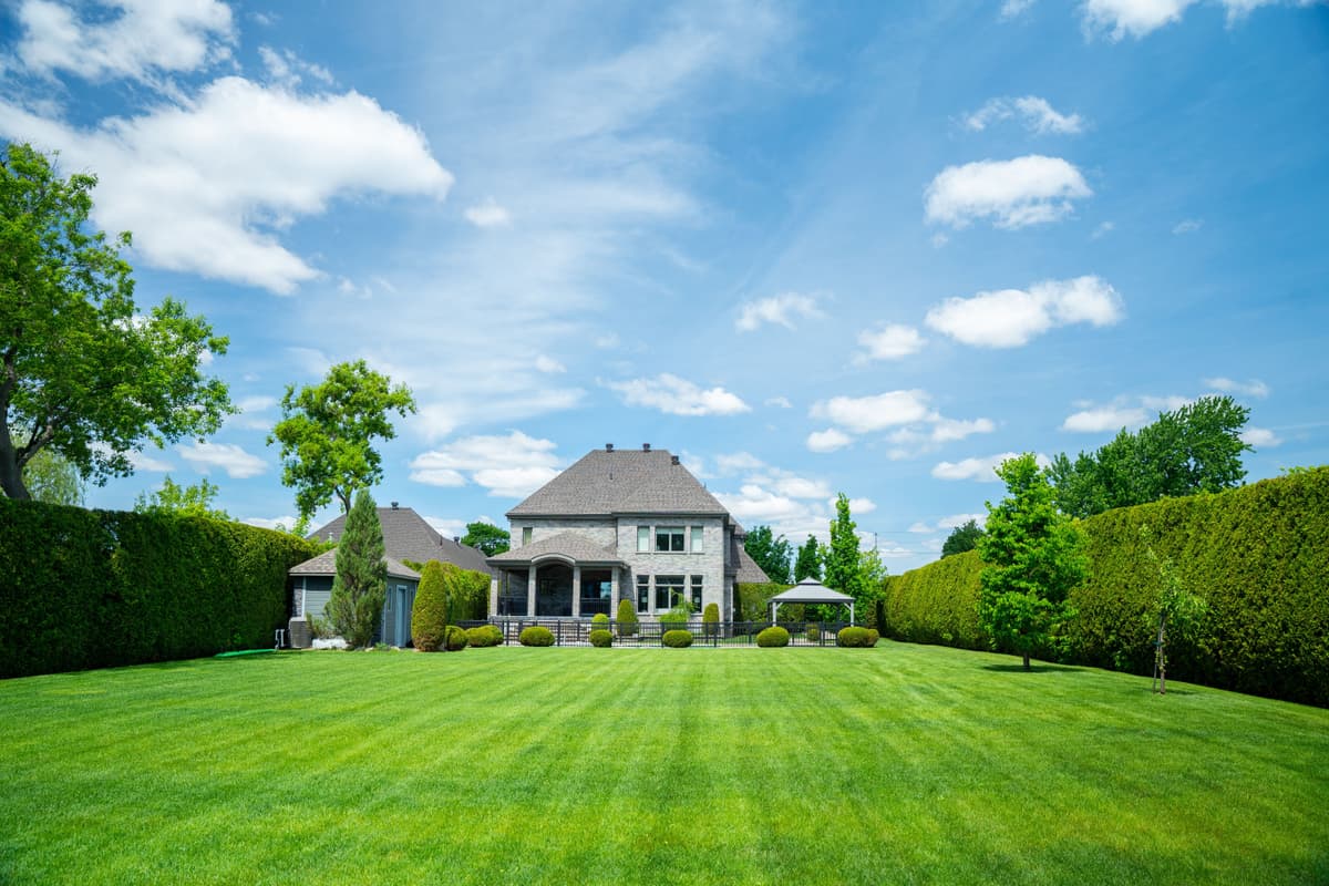 ENTRETIEN PAYSAGER 5