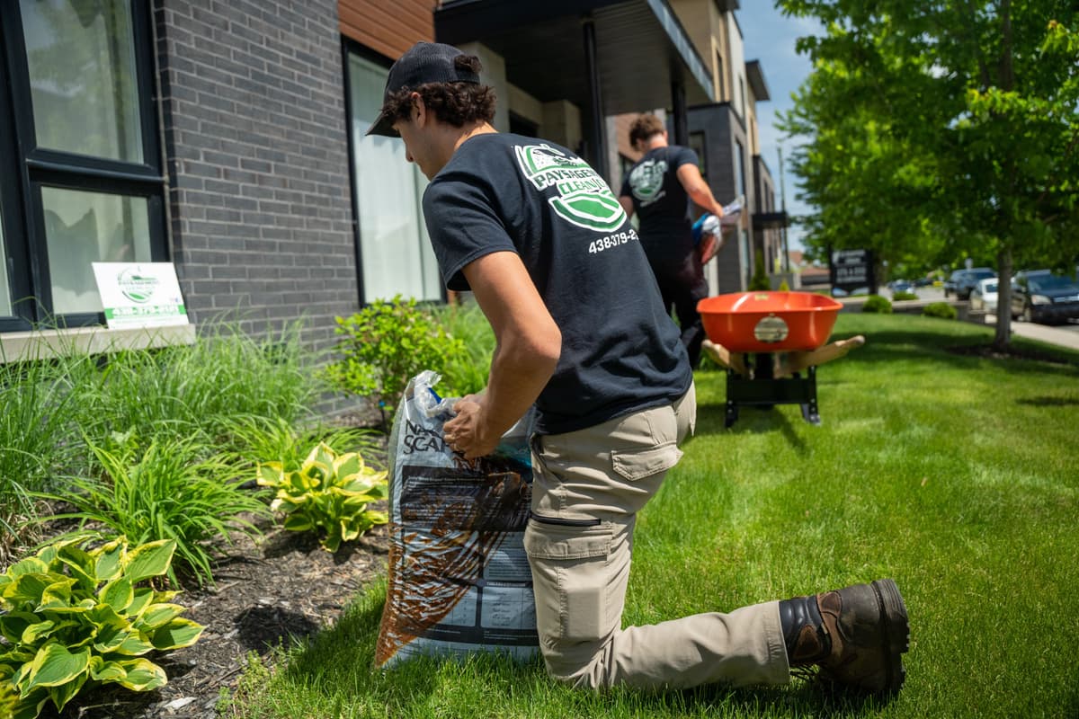 ENTRETIEN PAYSAGER 8