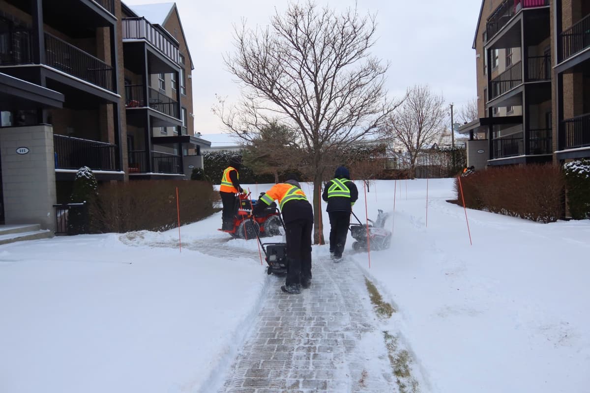 DÉNEIGEMENT 6